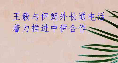  王毅与伊朗外长通电话 着力推进中伊合作