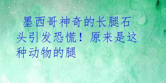  墨西哥神奇的长腿石头引发恐慌！原来是这种动物的腿