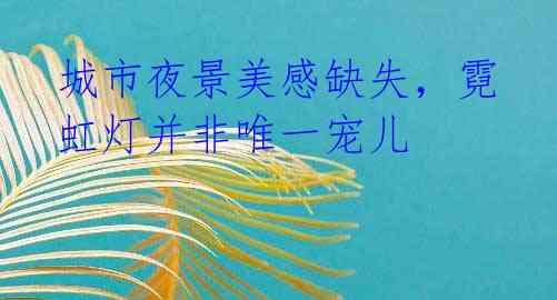 城市夜景美感缺失，霓虹灯并非唯一宠儿