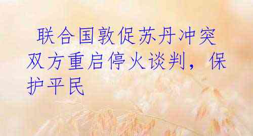  联合国敦促苏丹冲突双方重启停火谈判，保护平民