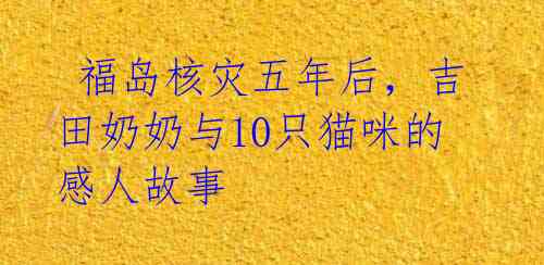  福岛核灾五年后，吉田奶奶与10只猫咪的感人故事