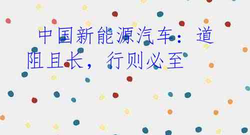  中国新能源汽车：道阻且长，行则必至