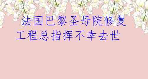  法国巴黎圣母院修复工程总指挥不幸去世