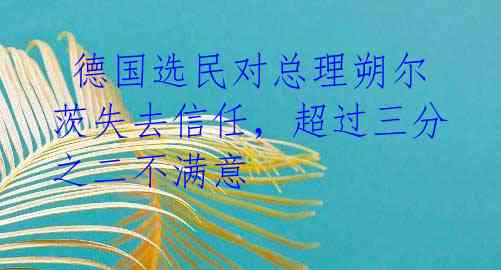 德国选民对总理朔尔茨失去信任，超过三分之二不满意