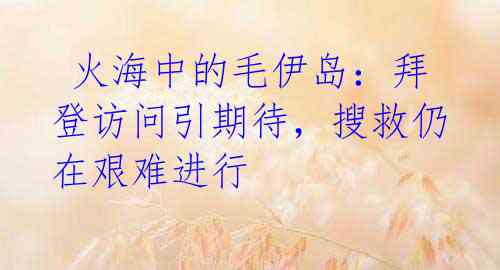  火海中的毛伊岛：拜登访问引期待，搜救仍在艰难进行