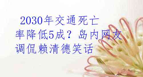  2030年交通死亡率降低5成？岛内网友调侃赖清德笑话