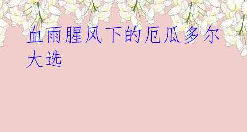 血雨腥风下的厄瓜多尔大选