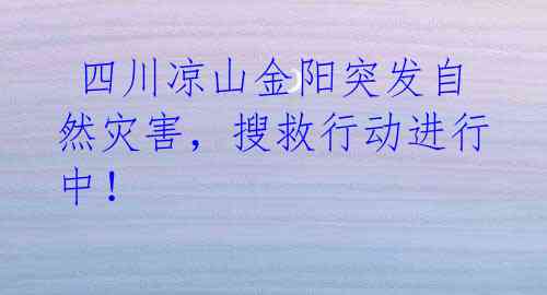  四川凉山金阳突发自然灾害，搜救行动进行中！