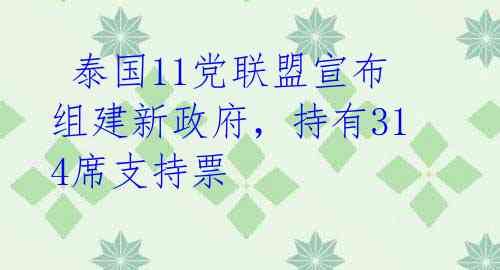  泰国11党联盟宣布组建新政府，持有314席支持票