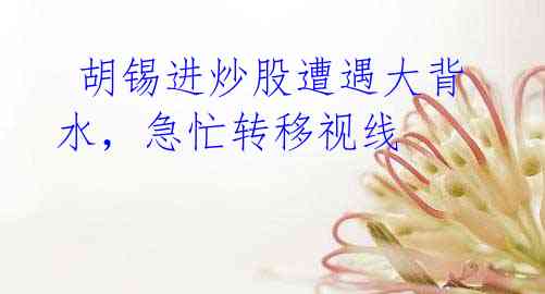  胡锡进炒股遭遇大背水，急忙转移视线