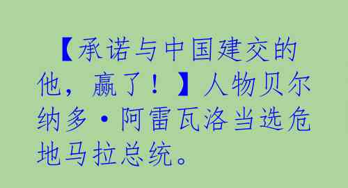  【承诺与中国建交的他，赢了！】人物贝尔纳多·阿雷瓦洛当选危地马拉总统。