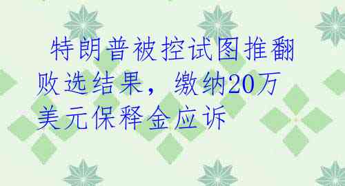  特朗普被控试图推翻败选结果，缴纳20万美元保释金应诉