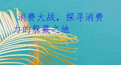  消费大战，探寻消费力的躲藏之地