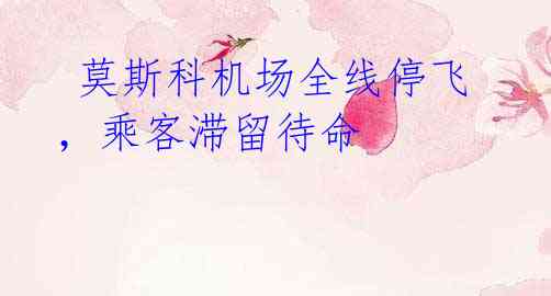  莫斯科机场全线停飞，乘客滞留待命