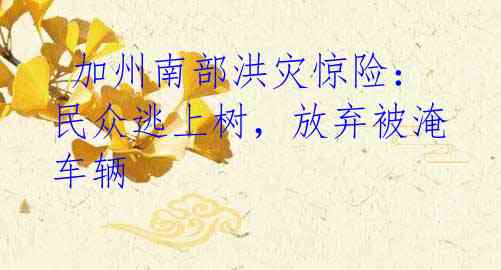  加州南部洪灾惊险：民众逃上树，放弃被淹车辆