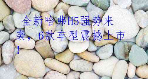  全新哈弗H5强势来袭，6款车型震撼上市！