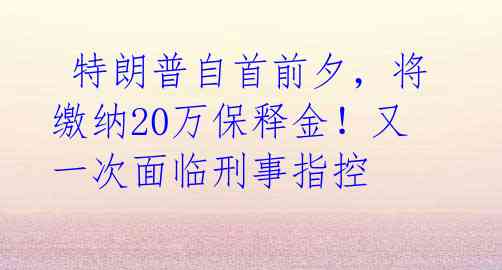  特朗普自首前夕，将缴纳20万保释金！又一次面临刑事指控