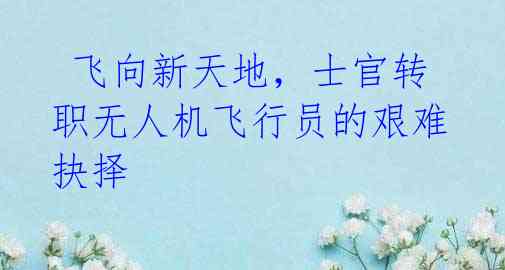  飞向新天地，士官转职无人机飞行员的艰难抉择 