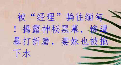  被“经理”骗往缅甸！揭露神秘黑幕，惨遭暴打折磨，妻妹也被拖下水
