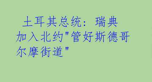 土耳其总统: 瑞典加入北约"管好斯德哥尔摩街道" 