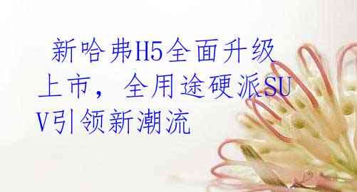  新哈弗H5全面升级上市，全用途硬派SUV引领新潮流