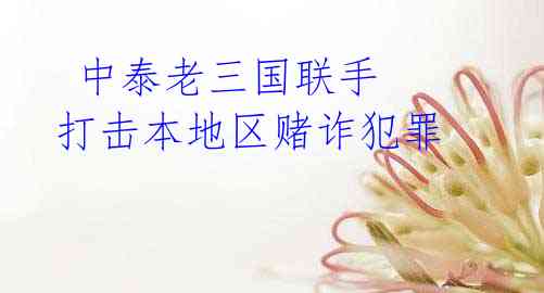  中泰老三国联手 打击本地区赌诈犯罪