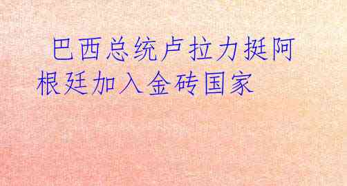  巴西总统卢拉力挺阿根廷加入金砖国家