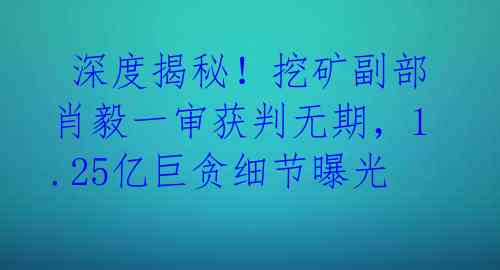  深度揭秘！挖矿副部肖毅一审获判无期，1.25亿巨贪细节曝光