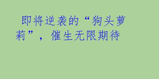  即将逆袭的“狗头萝莉”，催生无限期待