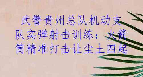  武警贵州总队机动支队实弹射击训练：火箭筒精准打击让尘土四起