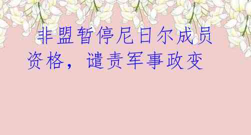  非盟暂停尼日尔成员资格，谴责军事政变
