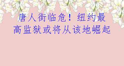  唐人街临危！纽约最高监狱或将从该地崛起