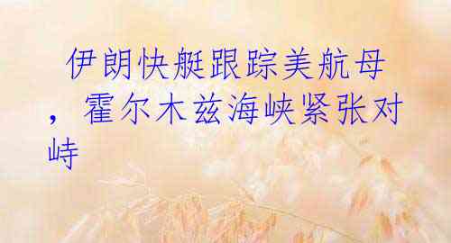  伊朗快艇跟踪美航母，霍尔木兹海峡紧张对峙