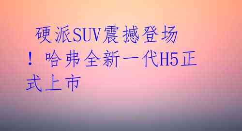  硬派SUV震撼登场！哈弗全新一代H5正式上市