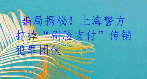  骗局揭秘！上海警方打掉“刷脸支付”传销犯罪团伙
