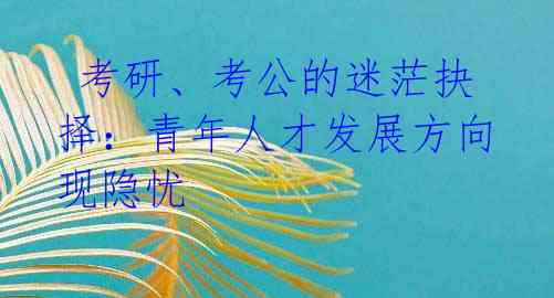  考研、考公的迷茫抉择：青年人才发展方向现隐忧