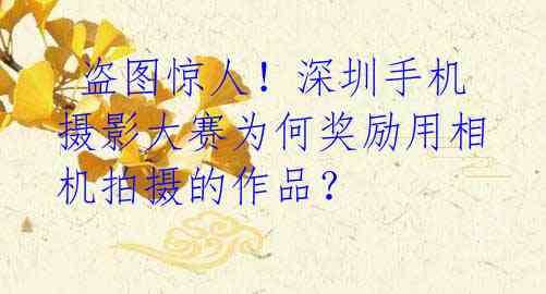  盗图惊人！深圳手机摄影大赛为何奖励用相机拍摄的作品？