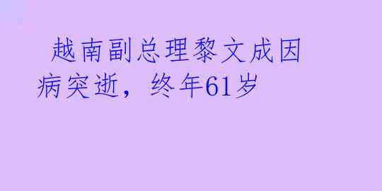  越南副总理黎文成因病突逝，终年61岁