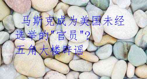  马斯克成为美国未经选举的"官员"? 五角大楼辟谣