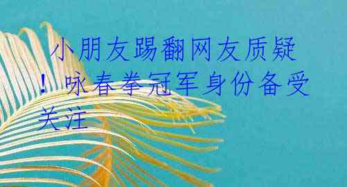  小朋友踢翻网友质疑！咏春拳冠军身份备受关注
