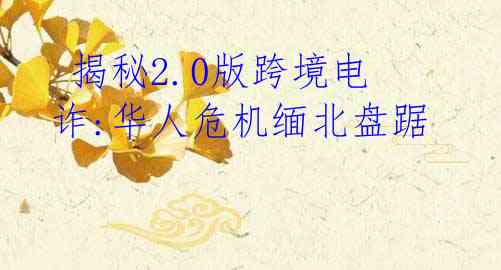  揭秘2.0版跨境电诈:华人危机缅北盘踞