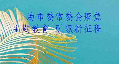  上海市委常委会聚焦主题教育 引领新征程