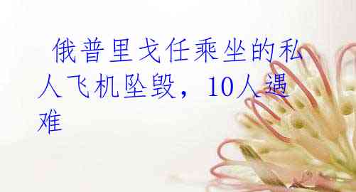  俄普里戈任乘坐的私人飞机坠毁，10人遇难