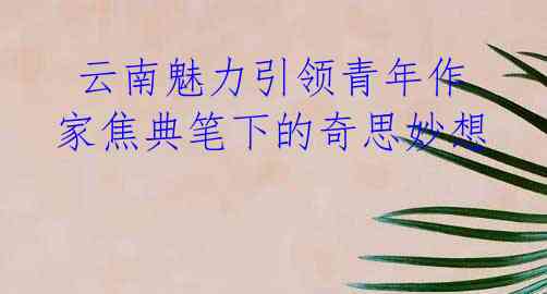  云南魅力引领青年作家焦典笔下的奇思妙想