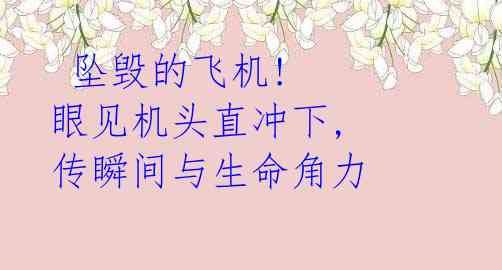  坠毁的飞机! 眼见机头直冲下, 传瞬间与生命角力