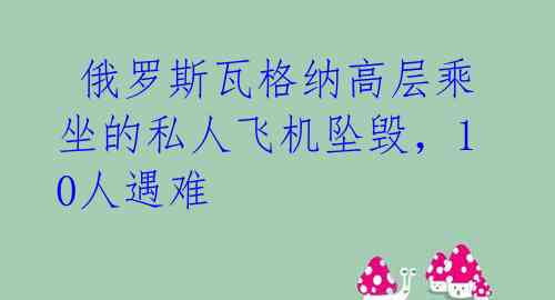  俄罗斯瓦格纳高层乘坐的私人飞机坠毁，10人遇难