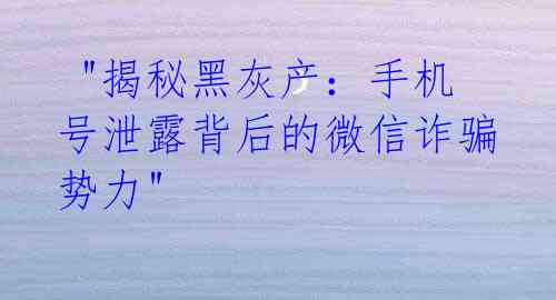  "揭秘黑灰产：手机号泄露背后的微信诈骗势力"