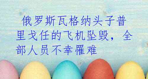  俄罗斯瓦格纳头子普里戈任的飞机坠毁，全部人员不幸罹难