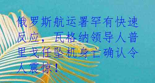 俄罗斯航运署罕有快速反应，瓦格纳领导人普里戈任坠机身亡确认令人震惊！