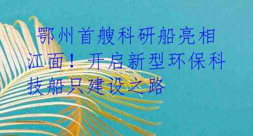  鄂州首艘科研船亮相江面！开启新型环保科技船只建设之路